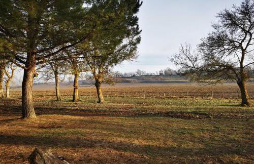 Dépendance avec balnéothérapie - Foto 13