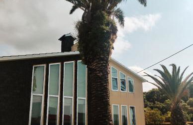 Palmtree 37 Al - Photo 11