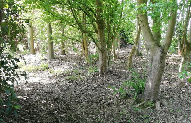 Beautiful Villa for Groups With Swimming Pool, Sauna and Wifi - Foto 39