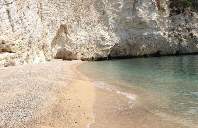 B&B Lido dei Pini - Photo 31