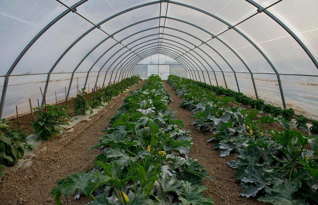 Agriturismo Arte Contadina - Photo 15