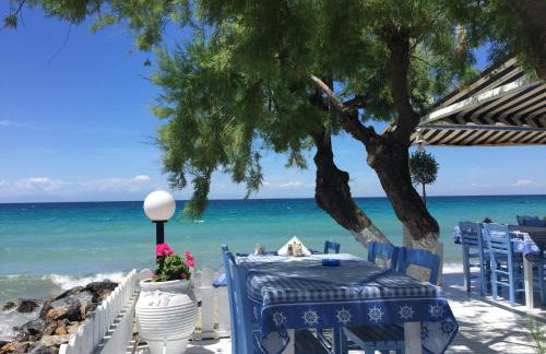 POSSIDI - Ithaki Holiday Apartments - Foto 34