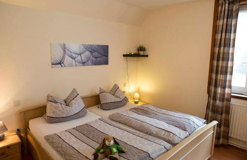 Reit- und Bauernhof Klaucke - Foto 33