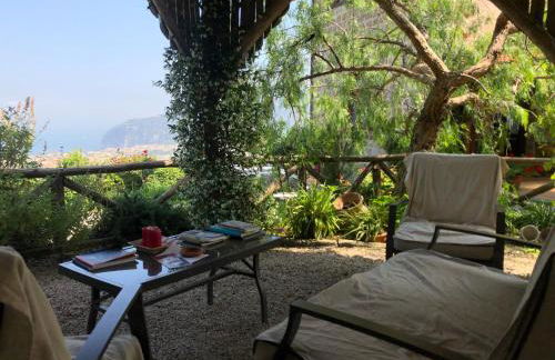 Agriturismo L'Olivara - Foto 16