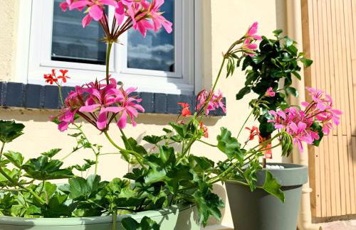 Eco-Appart'hôtel Rouen - JDP - Photo 27