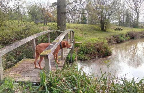 Snug & Secluded Lakeside Shepherds Hut 'Carp' - Foto 43