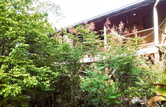Treetop 'jungle Like' Escape in San Ignacio Your Belize Oasis Awaits! - Foto 24