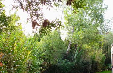 Petit chemin des Flouries - Foto 23