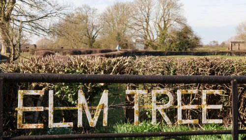 Elm Tree Cottage - Foto 3