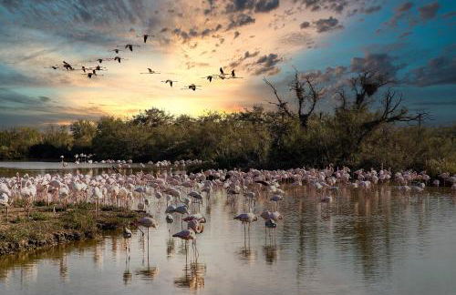 T2 Montpellier centre historique - Photo 9