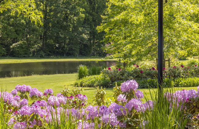 Familieboerderij - Foto 27