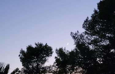 Villa Marna Bianca - Foto 32