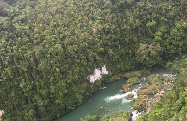 Palms Cove Resort - Photo 64