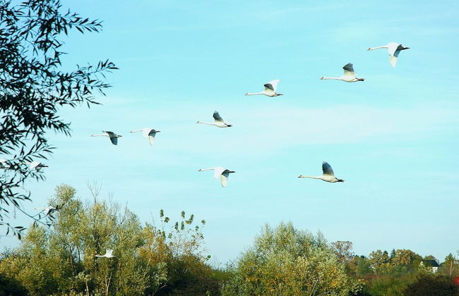 Amazing Chalet with Private Garden, Hot Tub, Sauna, Great Location by the River - Foto 35