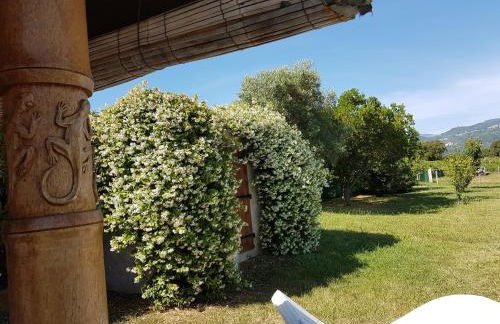 Monica di Sorbo - Foto 17