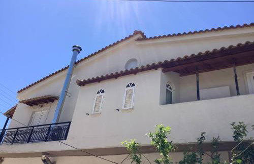 Lemon tree - Foto 34