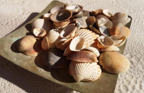 Appartamenti Lucry - Foto 20