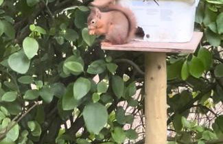 Sarah’s cottage - Foto 25