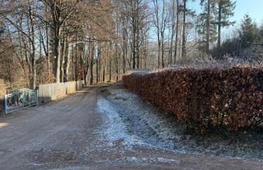 Moderne Ferienwohnungen in alter Villa - Photo 15