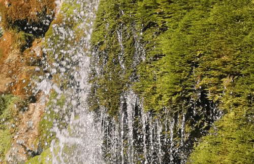 Ferienwohnung am Wasserfall - Foto 11