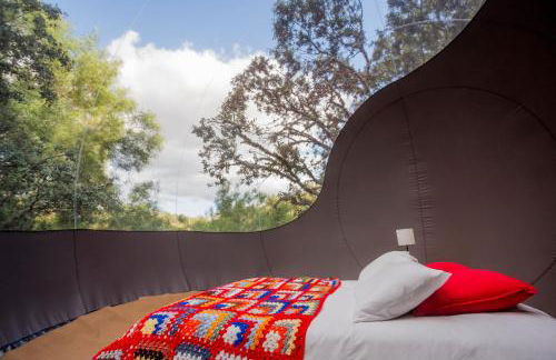 Moinho do Maneio - Foto 21