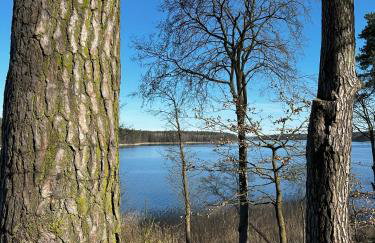 Ostoja Jeziorak Jezierzyce - Foto 29