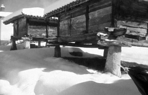 Los Tres Hórreos - Foto 1