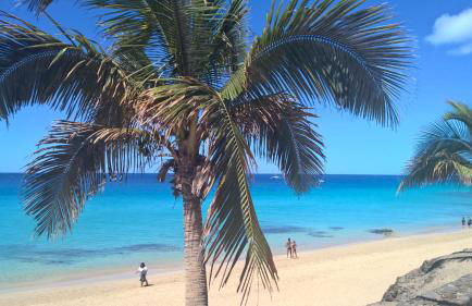 Your Ocean Window - Foto 74