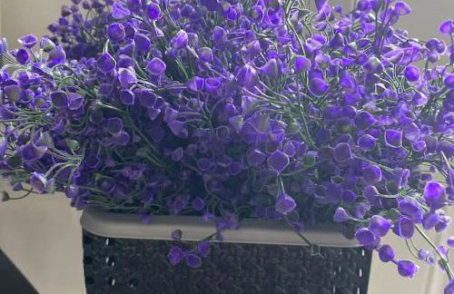 Cosy 2 Bed House - Sleeps 3 Parking & Garden - Foto 15