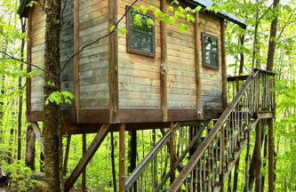 Maine Woods Treehouse-The Birdie - Foto 17