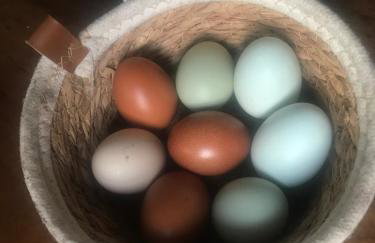 Domek Walentinki - Foto 23