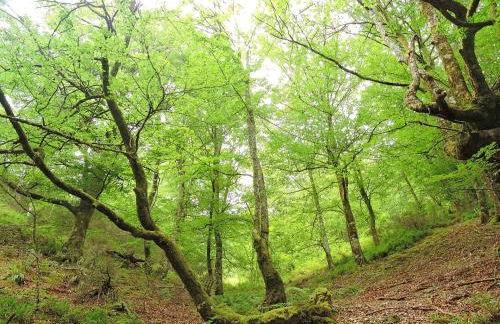 Casa Gloria - Foto 33