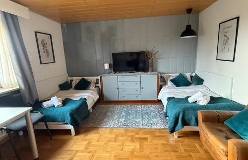 EMI2 Modern Apartment Free Parking Near Swiss Border - Foto 13