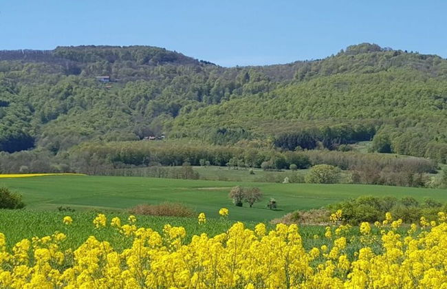 Lovely Apartment in Hesse - Foto 17