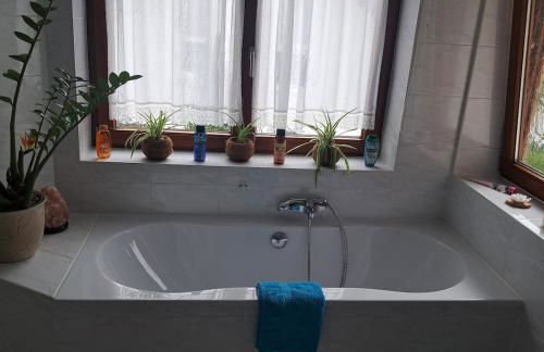 Relax Apartment Seenähe zum Kulkwitzer See - Photo 42