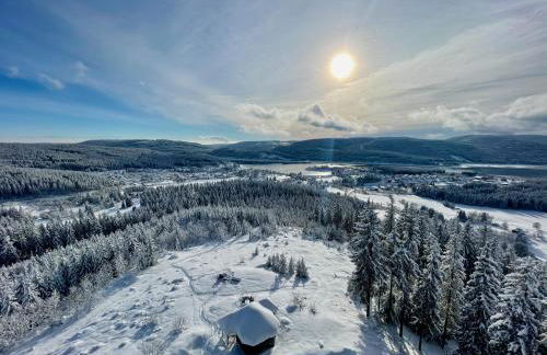 Landhotel und Apartments Sonneck - Photo 15