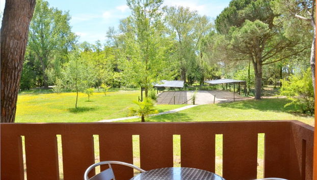 Comfort Near sea and Pinewoods - Foto 2, Imagen principal