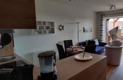 Wremer Seemöwe - Foto 4