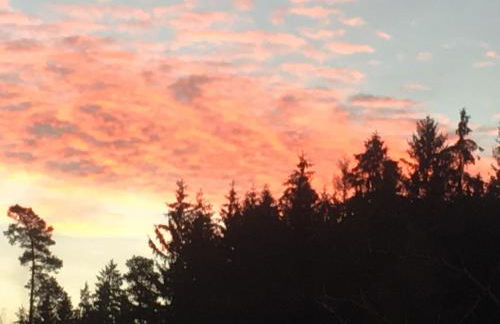 Antjes kleines Nest - Foto 24