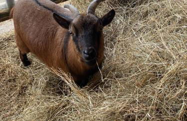 Domaine Nature Vacances - Foto 51