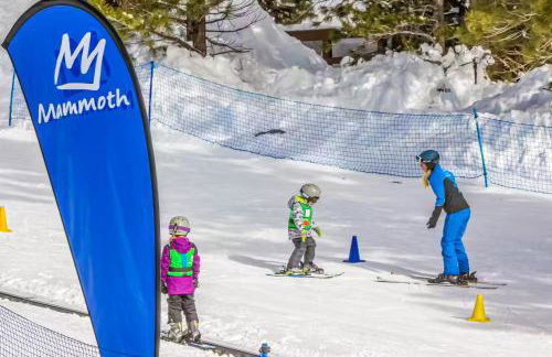 Mammoth Green 101 - Photo 29