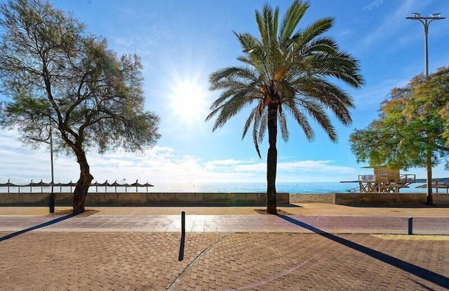 R2 Cala Millor - Photo 81