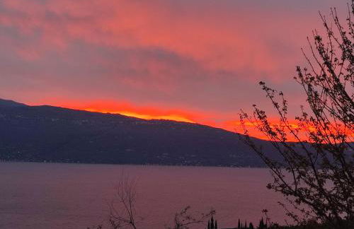 Agriturismo L'Uliveto - Foto 35