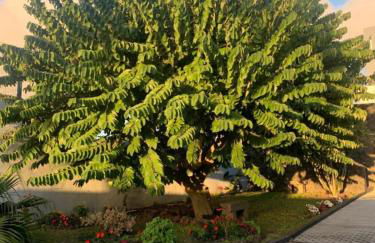 Casa Belém 5 - Foto 12