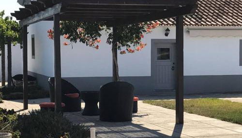 Monte de Sao Francisco - Foto 2, Garden