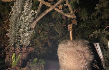 LCZ Dolce - Un Cocon à La Clusaz - Foto 33