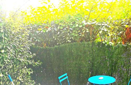 Escale marine - Foto 34