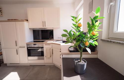 Wohlfühloase - Moderne Ferienwohnung mit großem eingezäuntem Garten in Alleinlage an Feld & Wald, Natur pur trifft auf Komfort, Wellness und gute Erholung - Foto 14