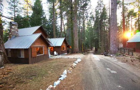 Sequoia Splendor, inside Kings Canyon NP by Visitors Center - Foto 5