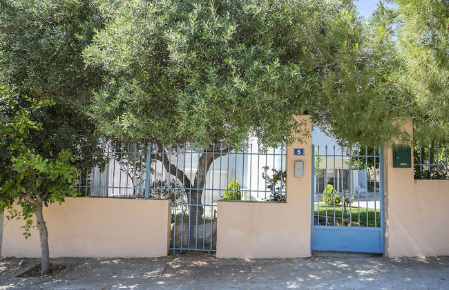 Garden House in Anavyssos - Photo 18